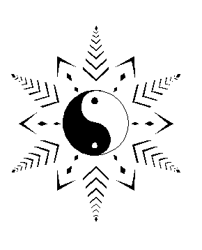 SnowTao logo